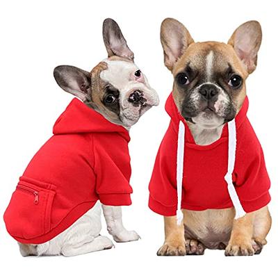 Best French Bulldog Toys - The Best Frenchie Gear  Bulldog puppies, Toy  bulldog, French bulldog puppies