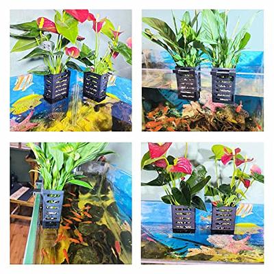 2PCS aquarium plants live Suction Cups Plants Pots Glass Aquarium Plant  Cups