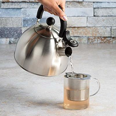 Primula Stewart 1.5qt Stovetop Kettle - Stainless Steel : Target