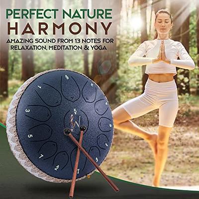 Steel Tongue Drum - HOPWELL 15 Note 14 Inch Tongue Drum - Hand Pan Drums  with Music Book, Steel Handpan Drum Mallets and Carry Bag, D Major (Black)