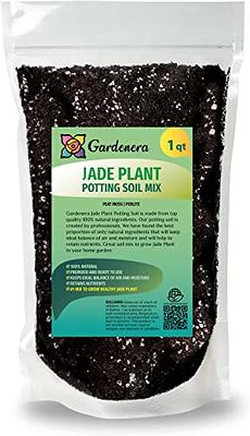 Generic Bonsai Soil 2 Quart Premium Fast Draining Organic All Purpose  Potting Mix for use with All Varieties of Bonsai - Yahoo Shopping