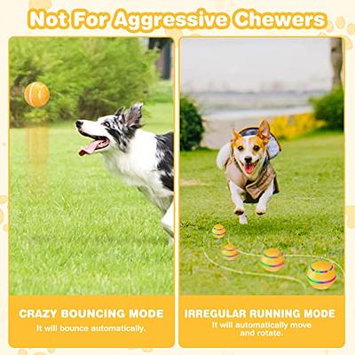 Interactive Dog Toys Ball for Indoor Dogs with Motion Activated