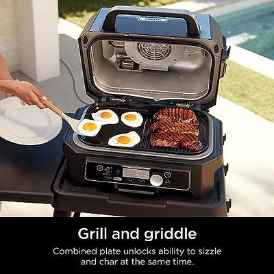 SHINESTAR Cast Iron Griddle Press with 12-Inch Melting Dome for Blackstone  Griddle, Flat Top Grill & Griddle Accessories, Ideal for Patty, Burger,  Bacon, Panini, Indoor and Outdoor Cooking - Yahoo Shopping