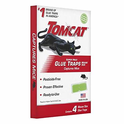 Tomcat Glue Traps Mouse Size Pesticide-Free - 4 ct pkg