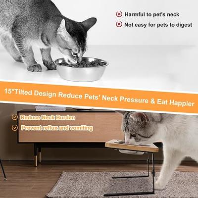 Vermida Elevated Cat Bowls for Food and Water, Stainless Steel Cat Food  Bowls with Bamboo Stand