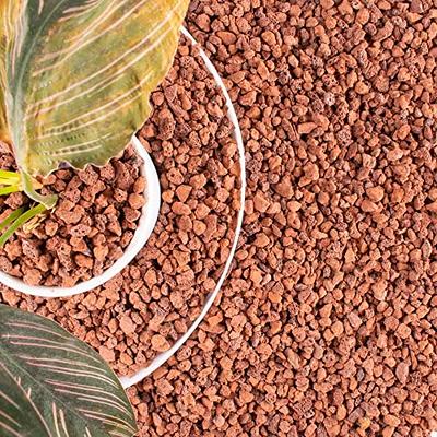  Coarse Sand Stone - Succulents and Cactus Bonsai DIY Projects  Rocks, Decorative Gravel for Plants and Vases Fillers，Terrarium, Fairy  Gardening, Natural Stone Top Dressing for Potted Plants. : Patio, Lawn