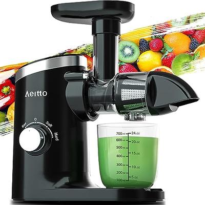 VEVOR Masticating Juicer, Cold Press Juicer Machine, Juice Extractor Maker  with High Juice Yield, Easy to Clean with Brush, for High Nutrient Fruits