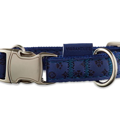 Vibrant Life Solid Nylon Dog Collar with Metal Buckle, Blue, Medium