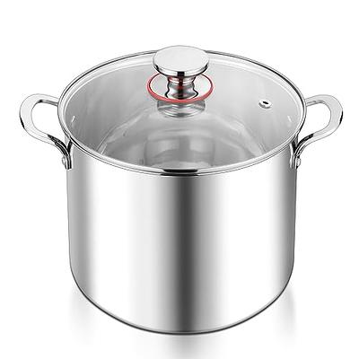 Goodful 7qt Cast Aluminum, Ceramic Stock Pot with Lid, Side Handles and  Silicone Grip Charcoal