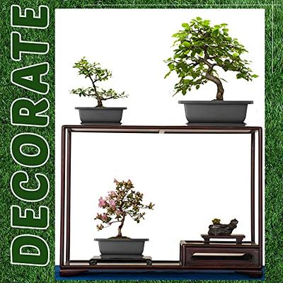  2 Pack Bonsai Humidity Tray Drip Tray Rectangular