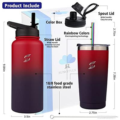Simple Modern 32oz Summit Water Bottles with Straw Lid - Vacuum Insulated  Tumbler Double Wall Travel Mug 18/8 Stainless Steel Flask - Ombre:  Moonlight 
