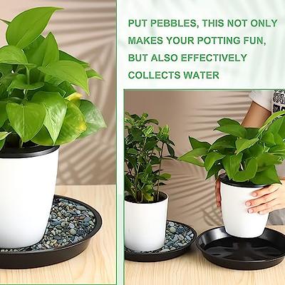 12 Pcs 6 inch/8 inch/10 inch Plant Pot Saucers Heavy Duty Sturdy Flower Pot  Saucer Round Plastic Plant Saucer Plant Pots Trays for Indoors and Outdoor  Garden( Terracotta) 