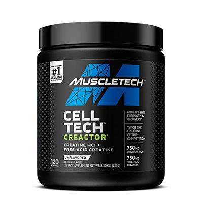 Micronized Creatine Monohydrate Powder - 100% Pure Unflavored Creatine  Powder 5000mg Per Serv (5g) Supports Muscle Building & Cellular Energy -  Amino
