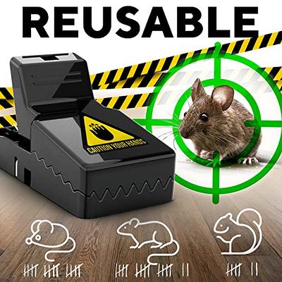 6-Pack: Reusable Mouse Trap