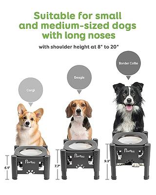 Pawque Elevated Dog Bowls, 80Oz Stainless Steel Water Feeder with 3  Adjustable Heights, Anti-Spill Design for Small to Medium Sized Dogs