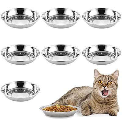 MISFANS Pet Water Fountain Stainless Steel,74oz/2.2L Automatic Water  Dispenser with Water Level, Replacement Filter Kit and Silicone Mat  Suitable for Cat, Dogs - Yahoo Shopping