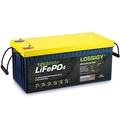 12V 50Ah LiFePO4 Deep Cycle Lithium Battery for RV Marine Off-Grid Solar  System