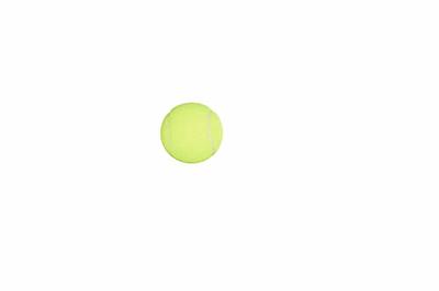 Penn Championship Tennis Balls - Regular Duty Felt Pressurized Tennis Balls