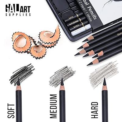 MARKART Professional Charcoal Pencils Drawing Set - 10 Pieces Soft Medium and Hard Charcoal Pencils for Drawing, Sketching, Shading