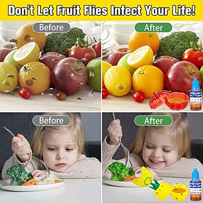 Aunt Fannie's FlyPunch - Fruit Fly Trap, Kill Fruit Flies, for Indoor Use  (12-Pack)