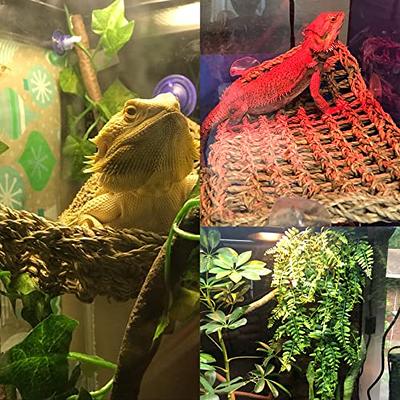 bearded dragon cages
