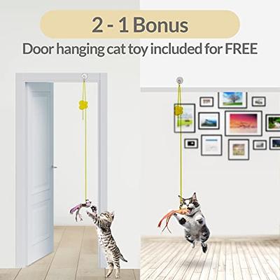 Felicity Suction Cup Cat Toy, 2 in 1 Interactive Bird Toy for Cats - 2  Strong Suction Cups, 9 Cat Feather Toys, 2 Durable Cat Wands, 1 Hanging Cat  Toy