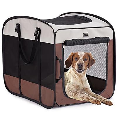  A4Pet Cat Travel Carrier, Collapsible Cat Carrier Bag Airline  Approved with Zipper Lock and Removable Washable Mat for Car, Indoor &  Outdoor Use : Pet Supplies