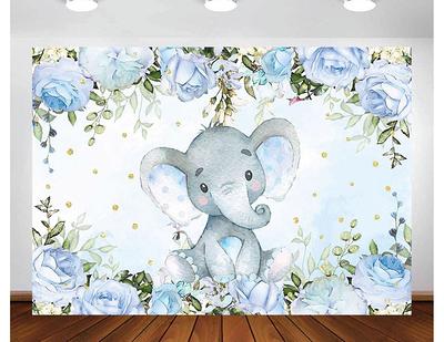 boy baby shower backdrop