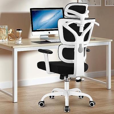 Office Chair, Ergonomic Desk Chair with Lumbar Support and