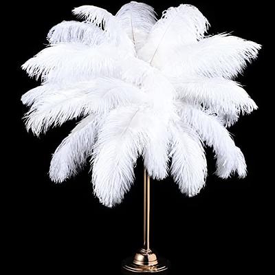 THARAHT Black Ostrich Feathers 12pcs Large Natural Bulk 12-14Inch 30cm-35cm  for Wedding Party Centerpieces Halloween and Home Decoration Feathers -  Yahoo Shopping