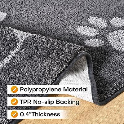 OHWPEAT Indoor Door Mat, 24x36, Non-Slip Absorbent Resist Dirt Entrance  Mat, Front Door Rug Indoor, Washable Low-Profile Small Rug Inside Entry  Doormats for Entryway, Door Mats for Home, Deep Grey - Yahoo