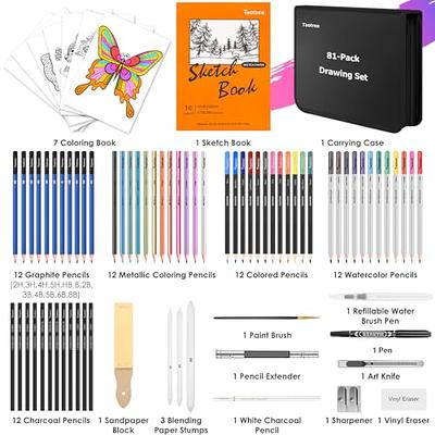 Sketching and Drawing Pencils Set, 37-Piece Professional Sketch Pencils Set in Zipper Carry Case, Art Supplies Drawing Set with Graphite Charcoal