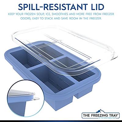 Extra-Large Silicone Freezing Tray with Lid, Walfos 1-Cup Freezer Tray for  Soup, Silicone Soup Freezer Container For Storing and Freezing Soup, Broth