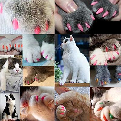 Purrdy Paws 40-Pack Soft Nail Caps For Cat Claws Pink Glitter Kitten :  Amazon.in: Pet Supplies