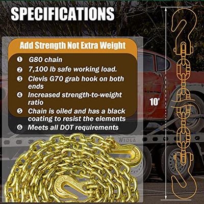 FITHOIST G80 Transport Binder Chain 5/16 Inch x 10 Foot, Tow Chain with  Clevis Grab Hooks, 4,900 lbs Safe Working Load