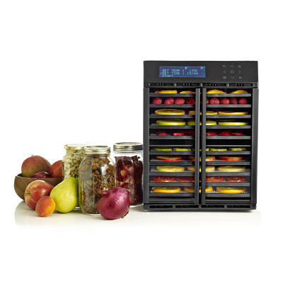 10-Tray Dehydrator