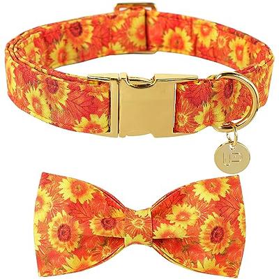 Yellow Sunflower Dog Bow Tie 