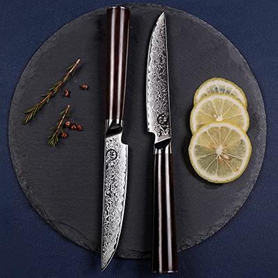 Steak knives Set of 4, Super-Sharp 5 Inch Damascus Steak Knife Set,  Japanese VG10 Core Steel 73 Layers - Non-Serrated Steak Knives with Case 