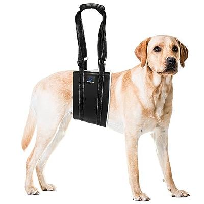 Dog harness for hind clearance legs