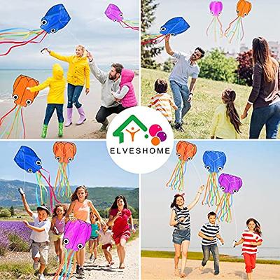 TOY Life - 2 Pack Kites for Kids Easy to Fly - Kites for Adults - Outdoor  Games and Activities Large Kites for Kids Ages 4-8 - Kids Kite for Beach -  Giant Easy Fly Plane Kites