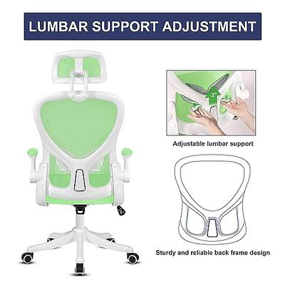 Adjustable Lumbar Support