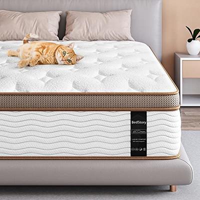 BedStory 3 inch Gel Memory Foam Mattress Topper Futon Comfortable Pads  Egg-Crate 