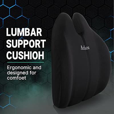 Achiou Lumbar Support Pillow for Office Chair, Back Support Pillow for Back  Pain Relief, Car Seat Computer Gaming Chair Pad, Memory Foam Back Cushion