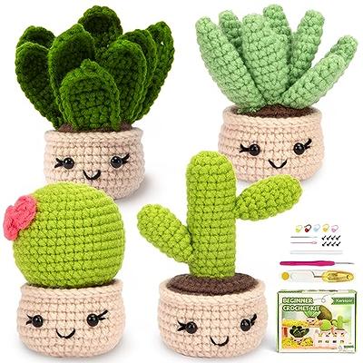 UzecPk Beginners Crochet Kit, 4 Pack Cactus Crochet Kit for