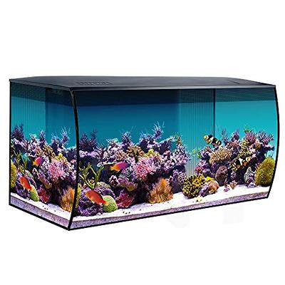 Aquarium kit 5 Gallon Betta Fish Tank self Cleaning, Smart