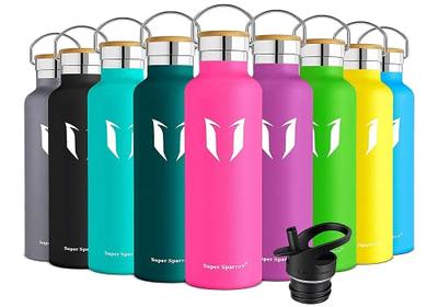 Thermos Vacuum Insulated Bottle with Straw