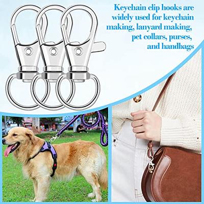 10pcs D Ring and Lanyard Hardware Pet Snap Hooks D Ring Clip Lanyard  Keychain Rings for Craft Lanyard Snap Hooks Lanyard Making Kit D Jump Rings  Key