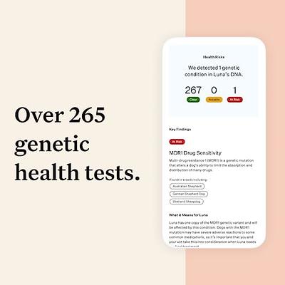  Embark Breed & Health Kit - Dog DNA Test - Discover Breed,  Ancestry, Relative Finder, Genetic Health, Traits, COI : Pet Supplies