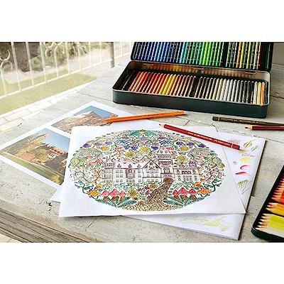 Faber-Castell Polychromos Artist Colored Pencils Set - Premium