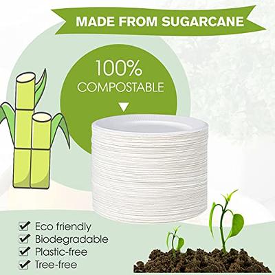 Vplus 100% Compostable Small Paper Plates, 300 Pack 6 Inch Disposable Paper  Plates, Uncoated Biodegradable Plates Made of Sugar Cane Fibers, Perfect